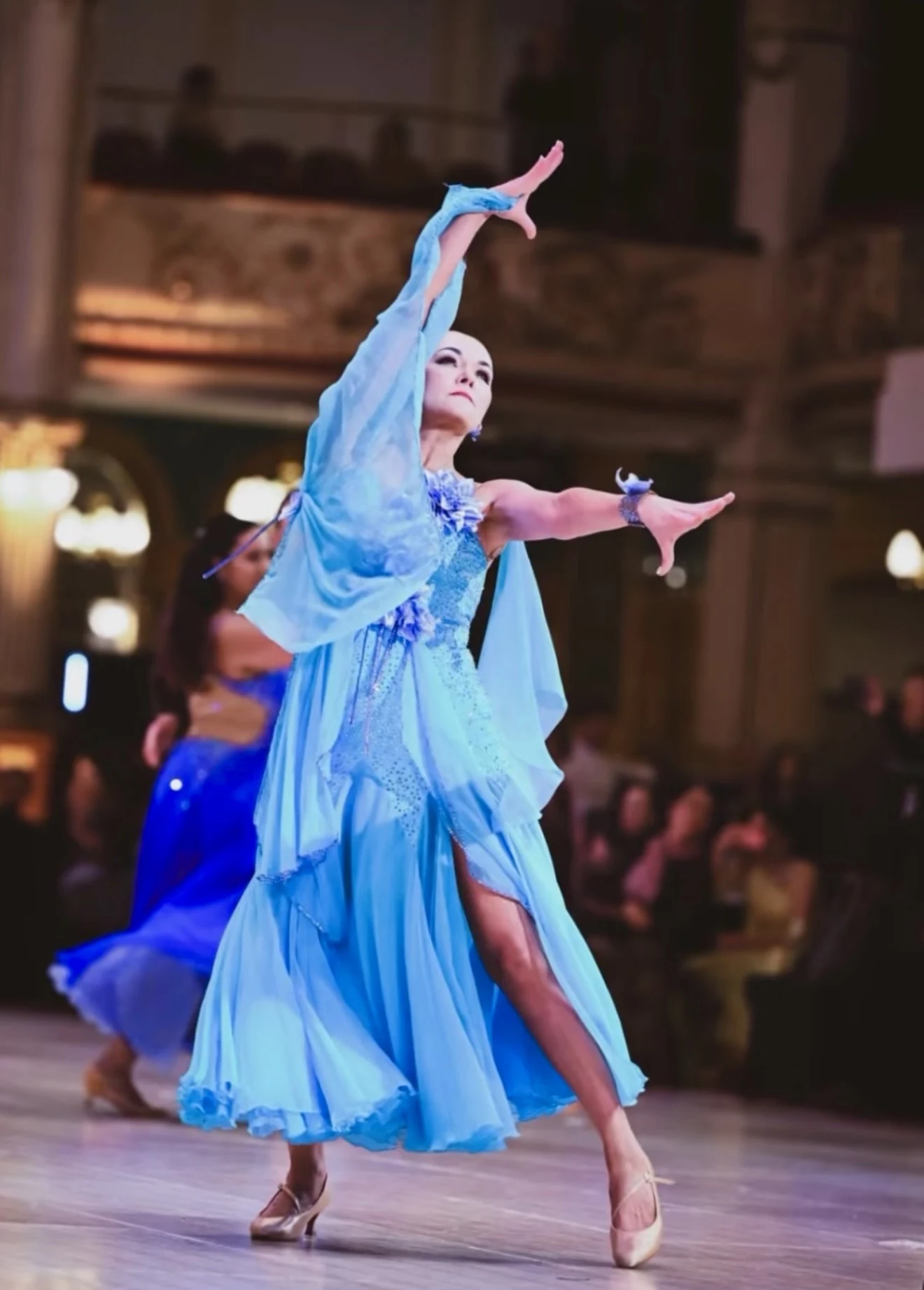 Arctic Dahlia in dance