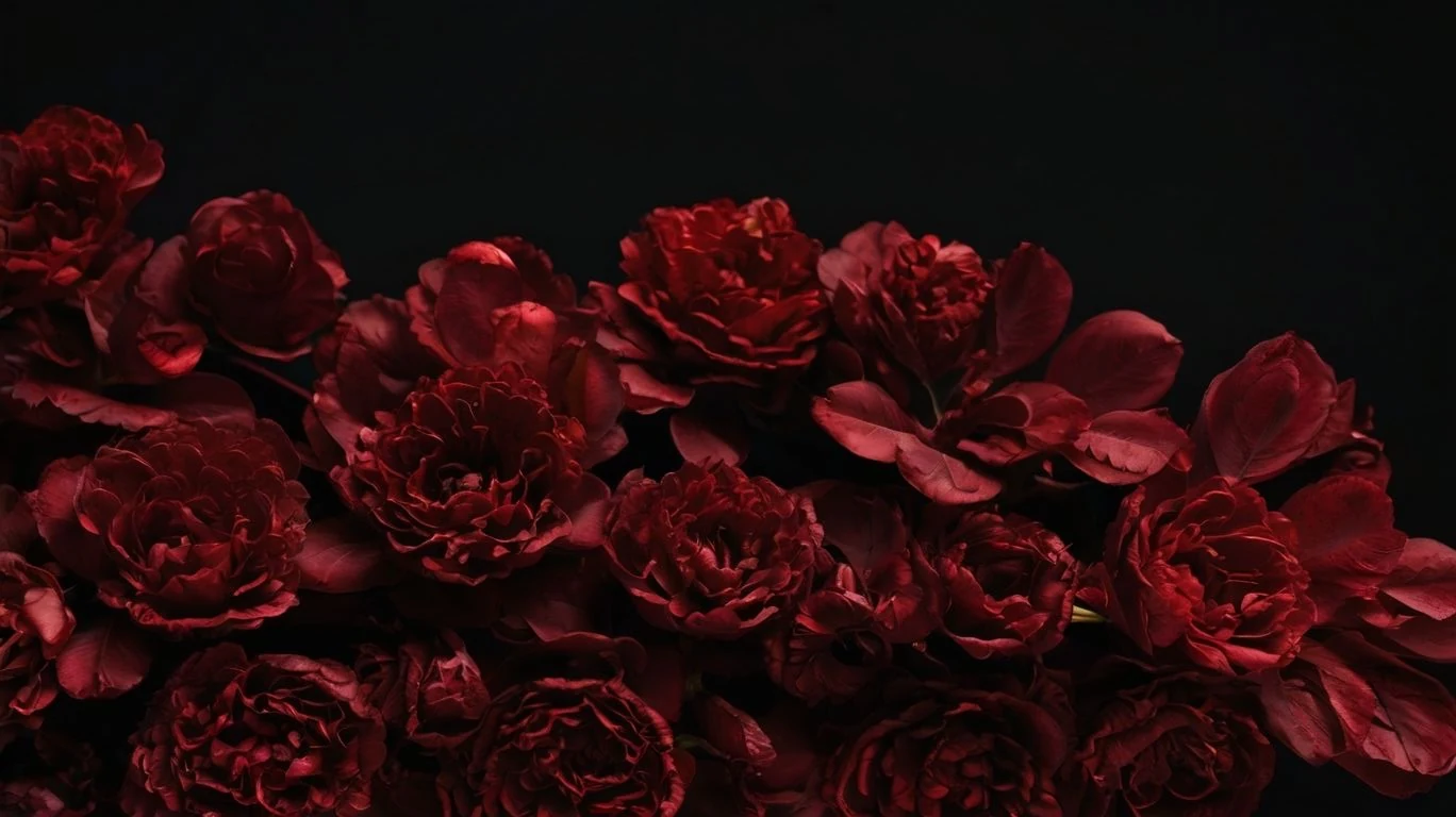 Deep burgundy flowers in full bloom