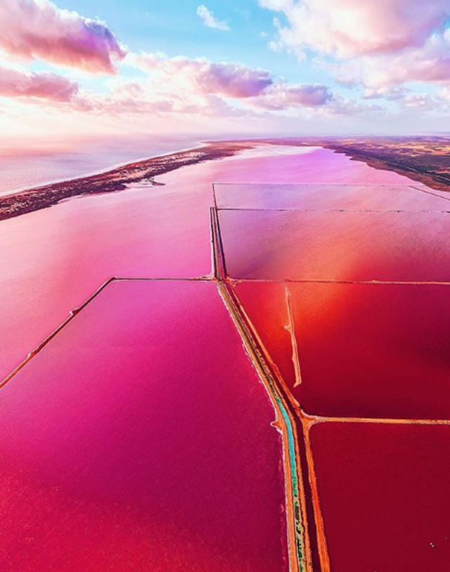 Pink waters of Hutt Lagoon seen from above