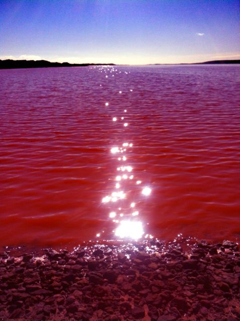 Pink lagoon water meeting the shoreline
