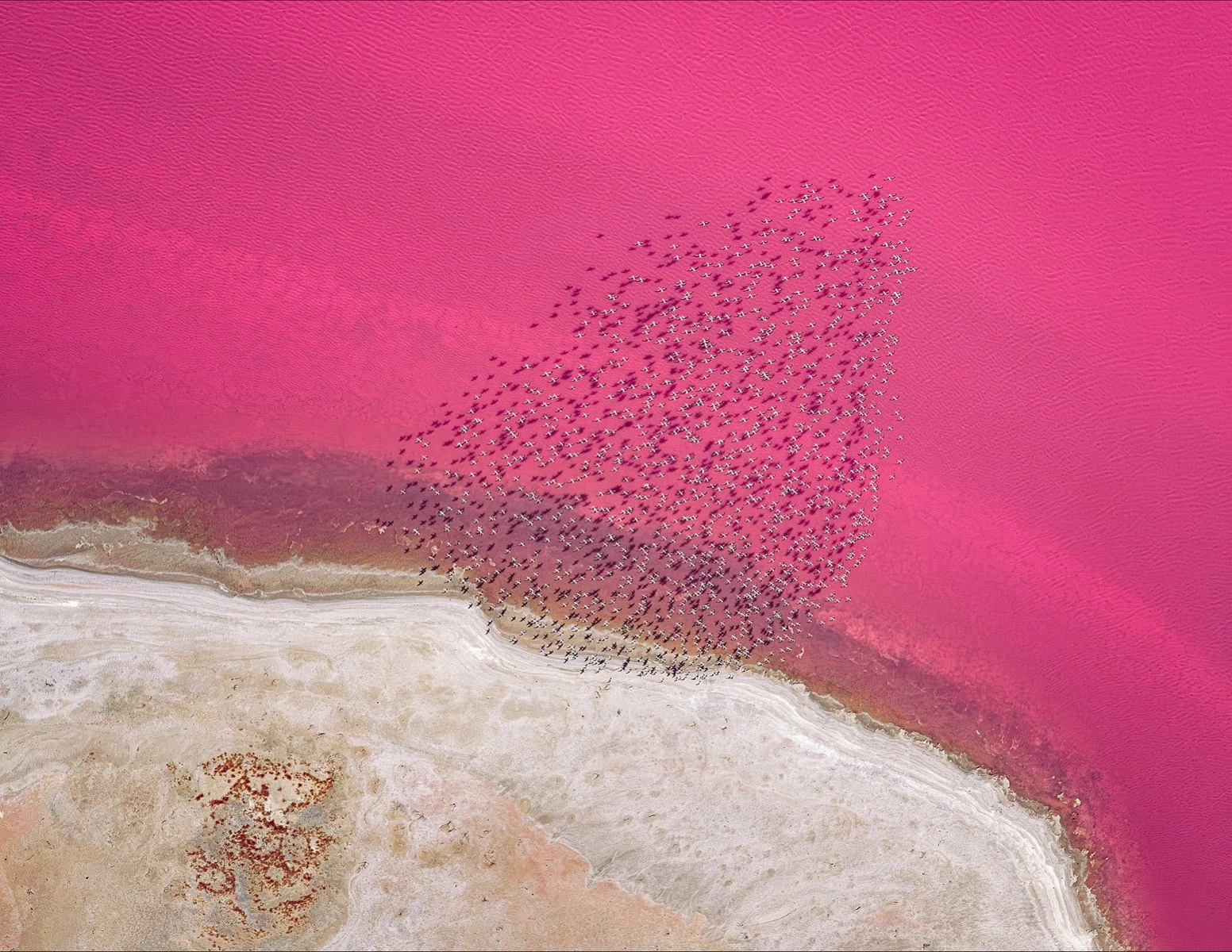 Pink waters of Hutt Lagoon
